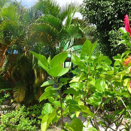 Hotel Posada Del Mar Fresh Water Bay Ngoại thất bức ảnh