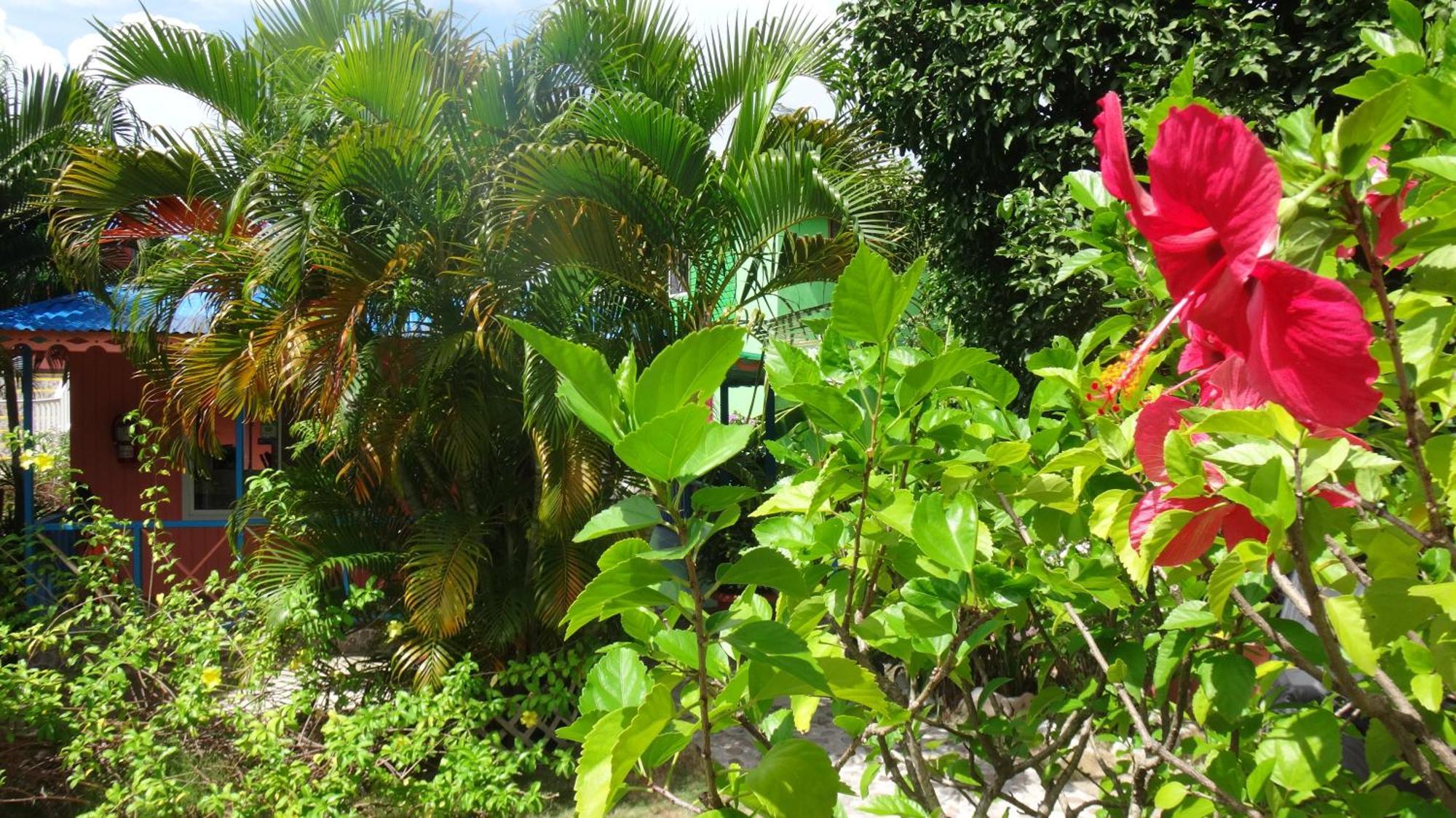 Hotel Posada Del Mar Fresh Water Bay Ngoại thất bức ảnh